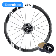 player_w25_feat_essentials_grasa